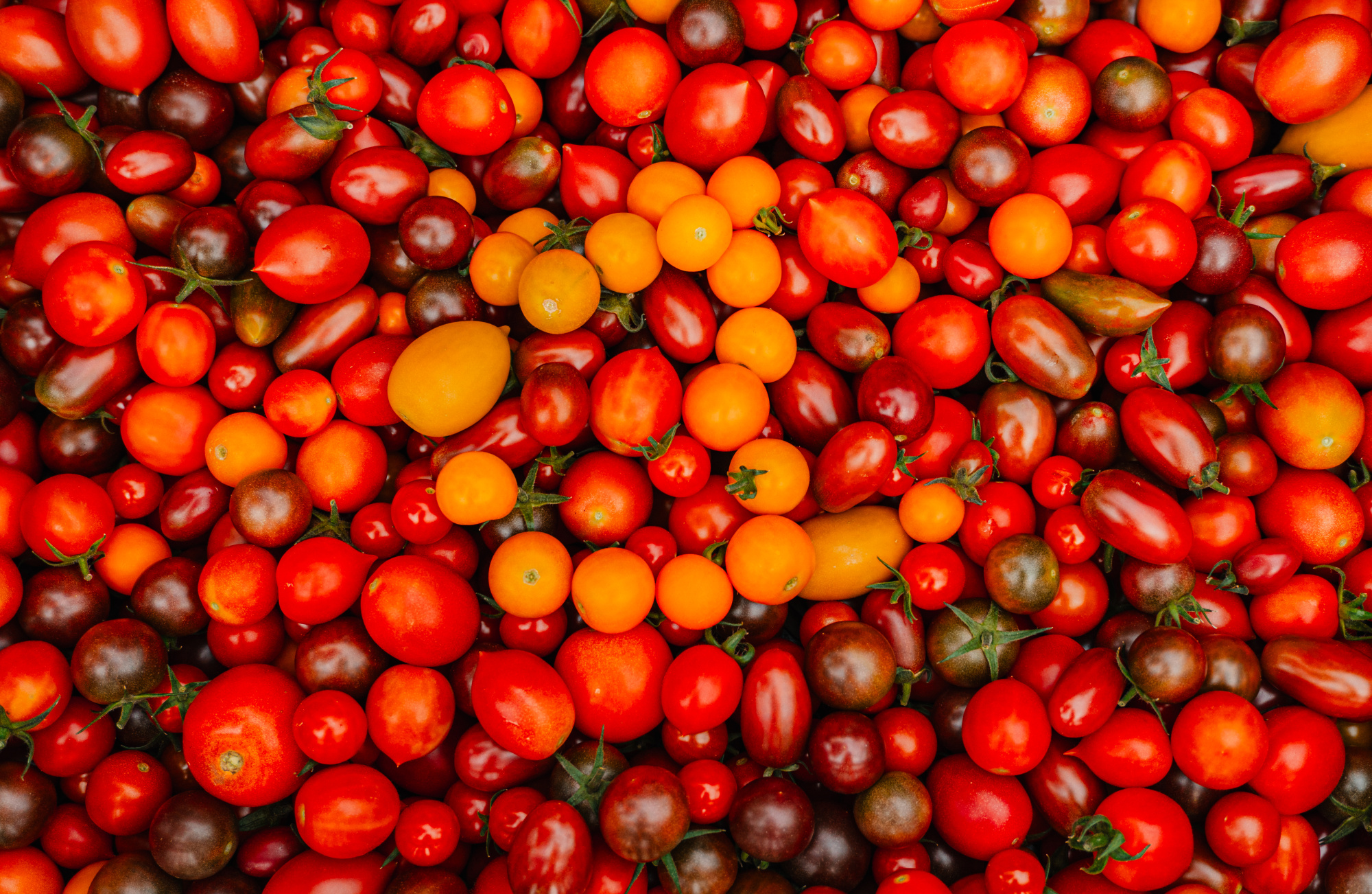 Никаких отходов! Что приготовить из перезревших овощей и фруктов Никаких отходов! Что приготовить из перезревших овощей и фруктов