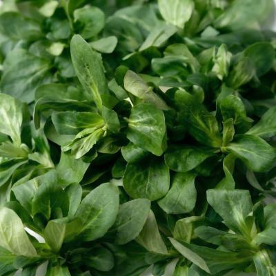 2389ae82e1f784f597c7c3e4e4b6e454_47509c8a-8abe-4a0f-9440-7d3e9e57fcf6