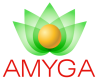AMYGA