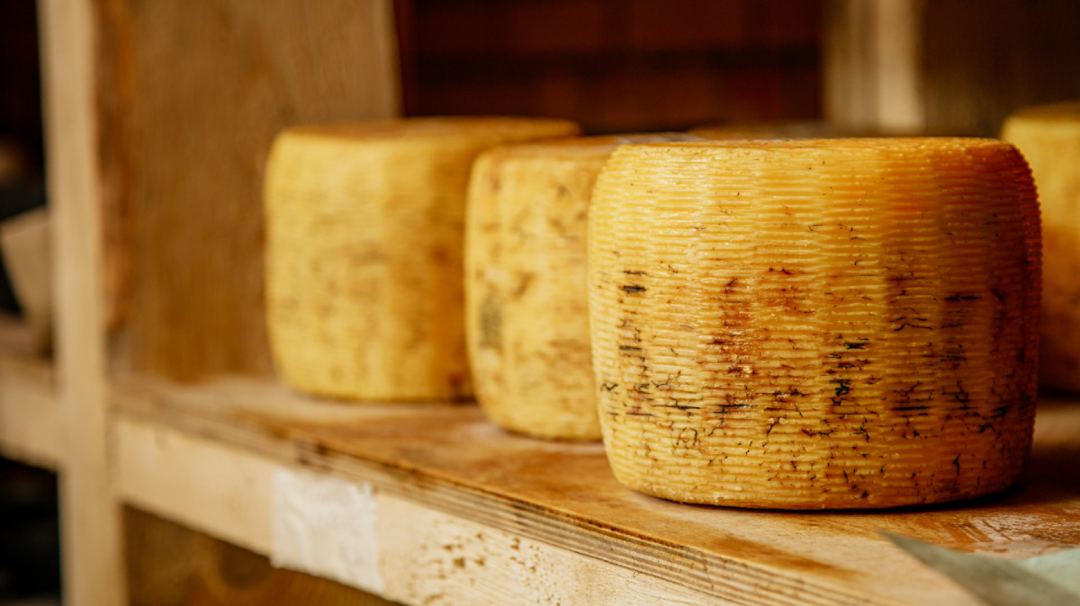 Сыр — источник незаменимых аминокислот (и дешевле чёрной икры) Сыр — источник незаменимых аминокислот (и дешевле чёрной икры)