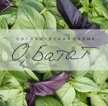 О, батат О, батат