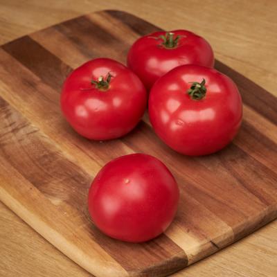 Изображение загружено обработкой по данным файла Excel