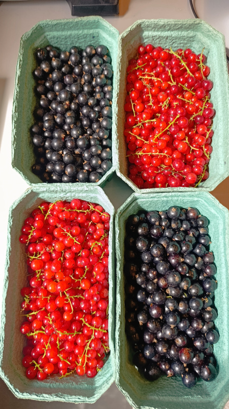 Полезный перекус: ягоды, орехи, йогурты и другие фермерские фавориты