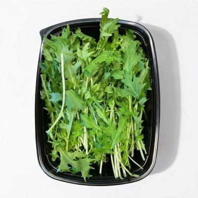 279cfc5fb2dd268f2413ce7f768741bf_5f73b766-4dde-4c35-9ee2-5a7e874ace18