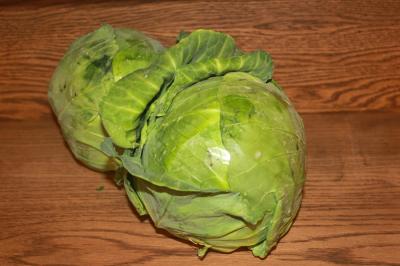 Изображение загружено обработкой по данным файла Excel