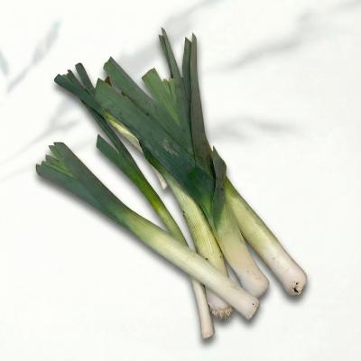 0dfb08fafb848e4de5970cf252c9bba0_d6da93bc-4cc6-46a8-bf02-48c0072daf90