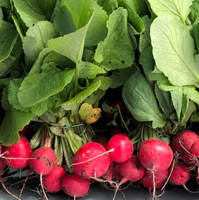 photo_5343624192169022808_y