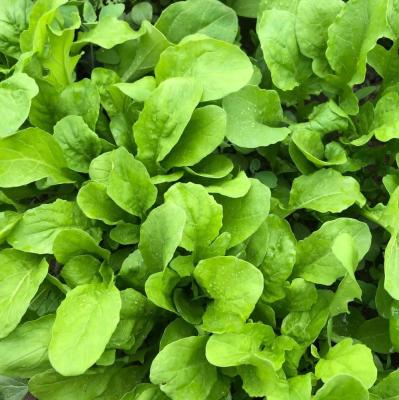 kifrhyi6lw6kxeh8vzohpfwyfm630hkv