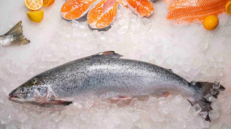 Только дикий вылов. Почему лучше заменить дораду и сибаса на более полезную рыбу