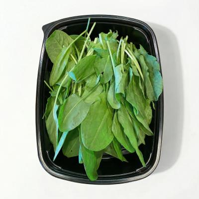 427df02f54d636a37c012109fc491fa0_855dd2f9-699d-423b-acc5-51f85ffa7d84