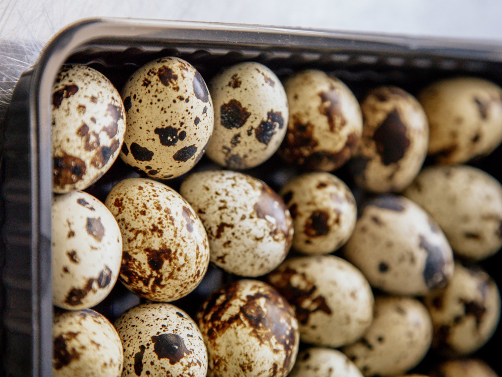 Фермерские перепелиные яйца в упаковке