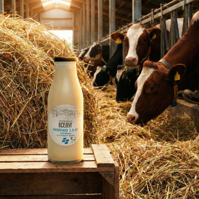 67c05ecebf5cc0bd22917192730a9cb5_482e3fd5-4735-4029-a496-3bb5133aba72