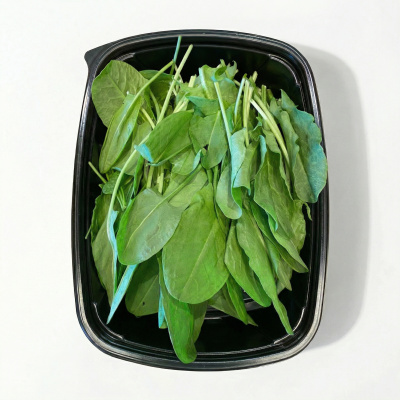 427df02f54d636a37c012109fc491fa0_855dd2f9-699d-423b-acc5-51f85ffa7d84