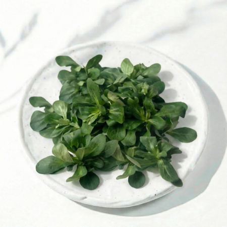 b5ae9ee0486e764d3f491f56984686b3_a443237e-67a2-4fc7-ad50-39d015ee47fa