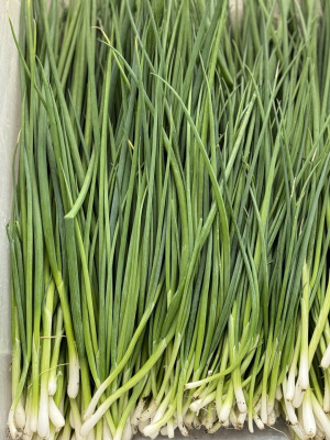 лук зеленый